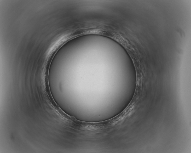 X0000113150341200909181755