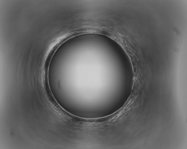 X0000113150342200909181755