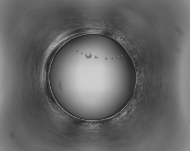 X0000113150343200909181755