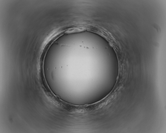 X0000113150344200909181755