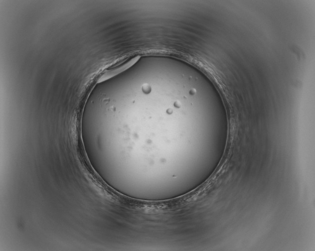 X0000113150345200909181755