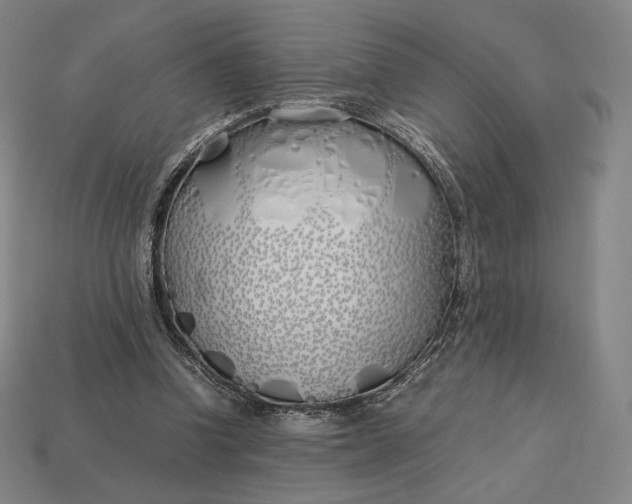 X0000113150346200909181755