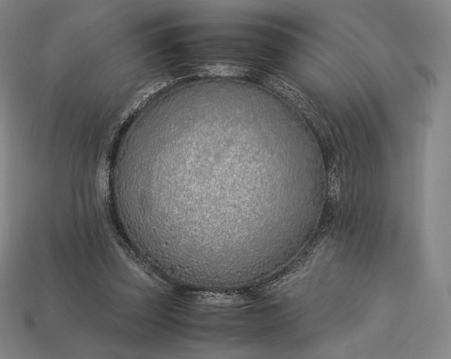 X0000113150347200909181755