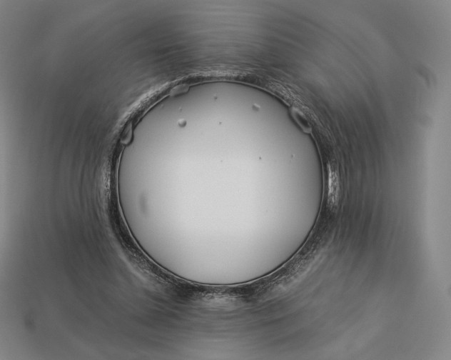 X0000113150348200909181755