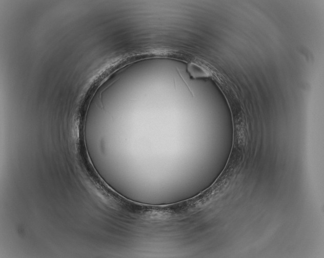 X0000113150350200909181755