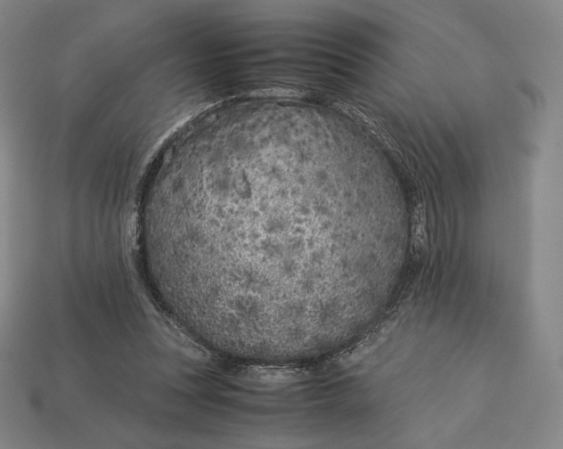 X0000113150351200909181755