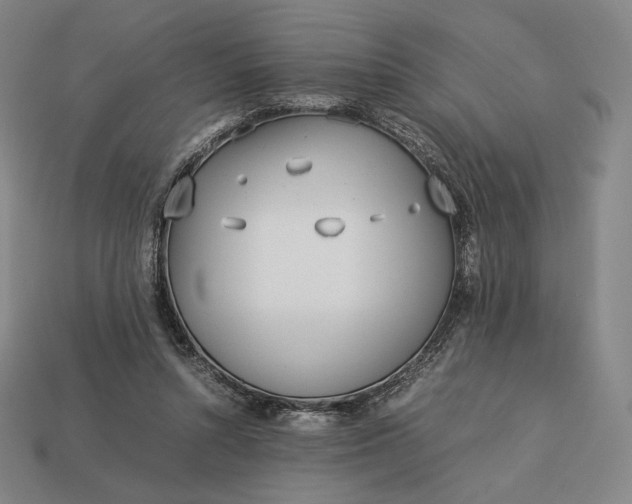 X0000113150352200909181755