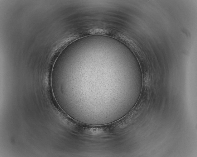 X0000113150353200909181755