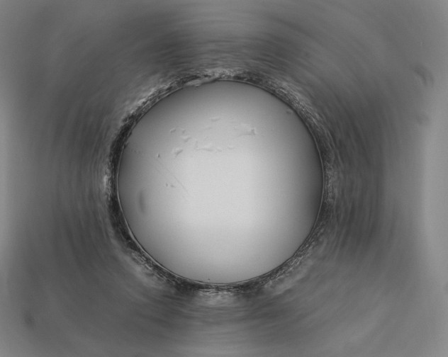 X0000113150354200909181755