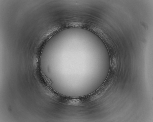 X0000113150355200909181755