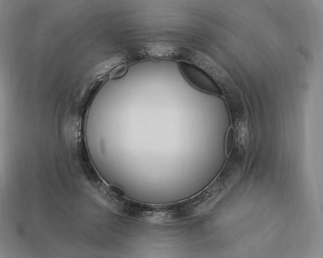 X0000113150356200909181755