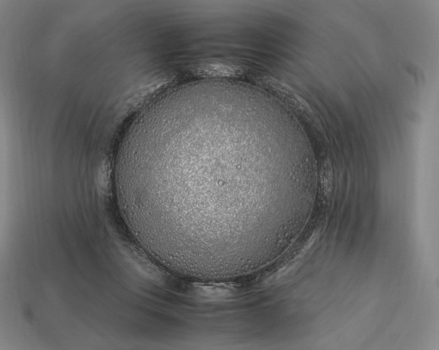 X0000113150359200909181755