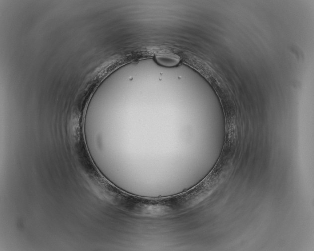 X0000113150360200909181755