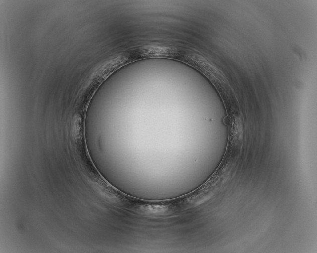 X0000113150361200909181755