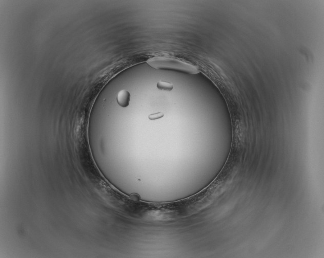 X0000113150364200909181755