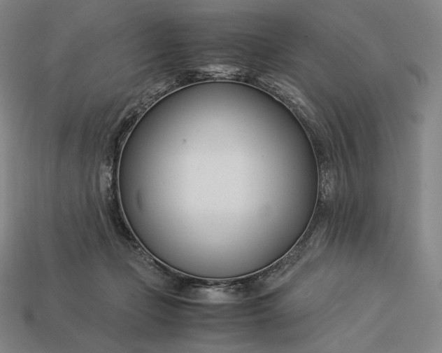 X0000113150365200909181755