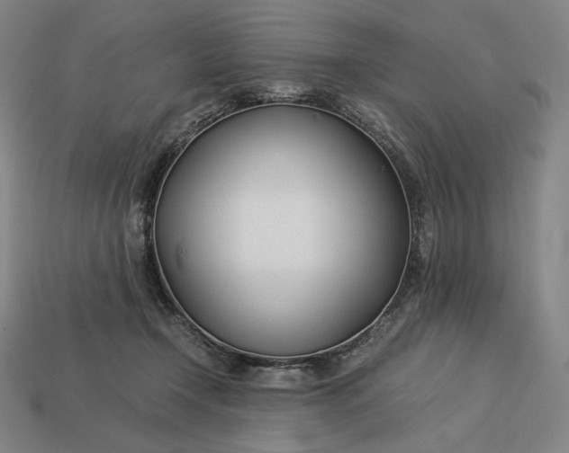 X0000113150366200909181755