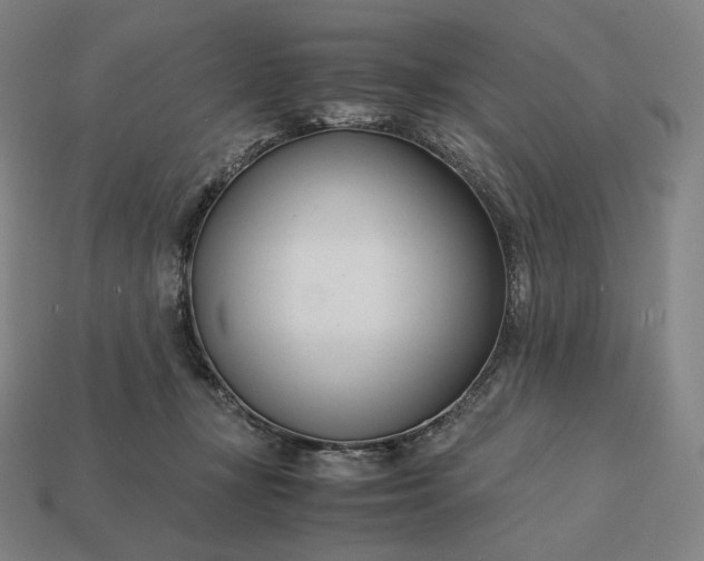 X0000113150367200909181755