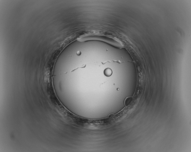 X0000113150368200909181755