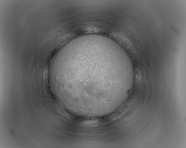 X0000113150369200909181755