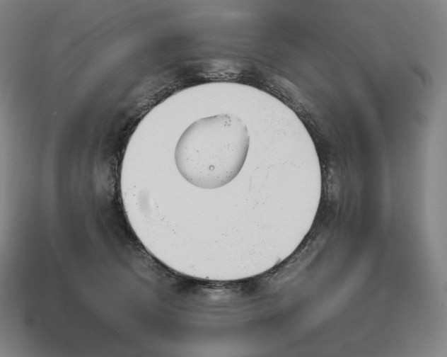 X0000113150370200909181755