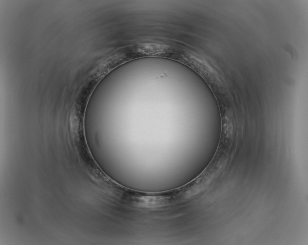 X0000113150371200909181755