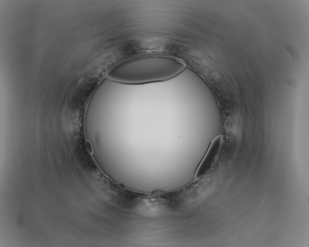 X0000113150372200909181755