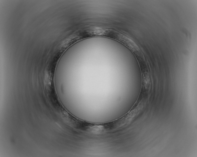 X0000113150374200909181755