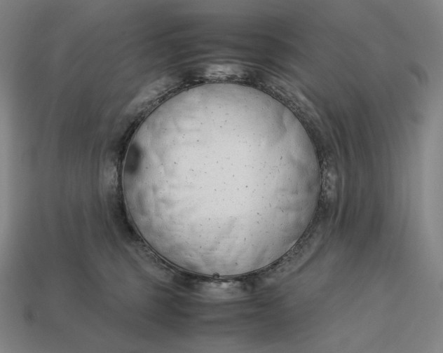 X0000113150375200909181755