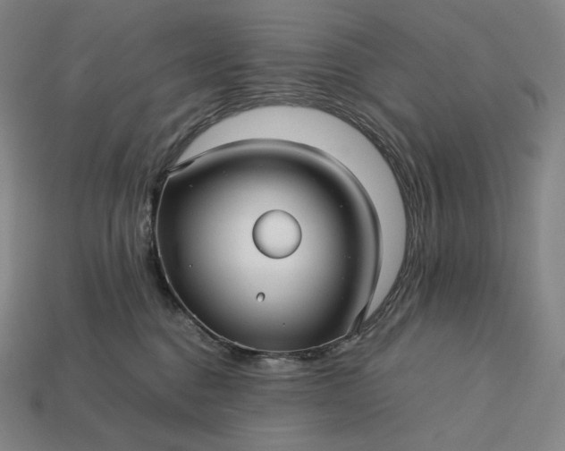 X0000113150376200909181755