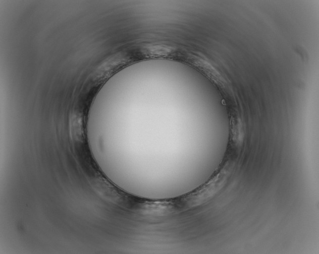 X0000113150378200909181755