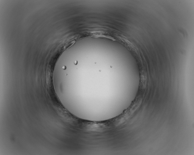 X0000113150379200909181755