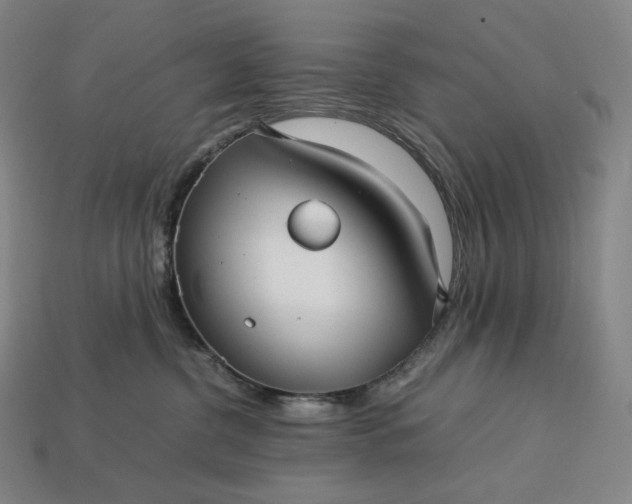 X0000113150380200909181755