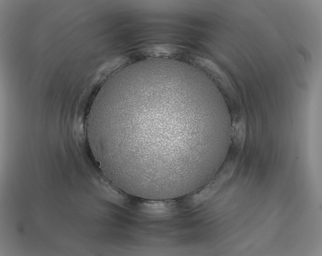 X0000113150381200909181755