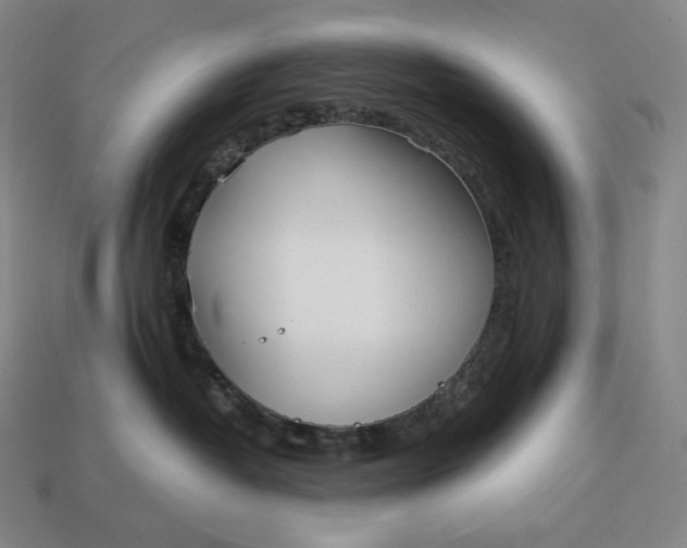 X0000113150382200909181755