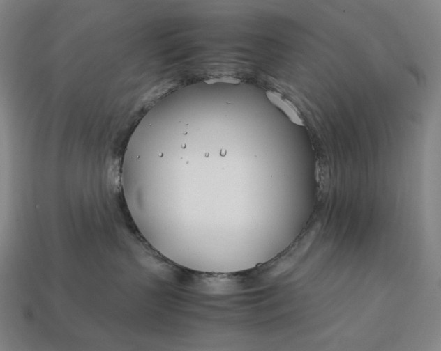 X0000113150383200909181755