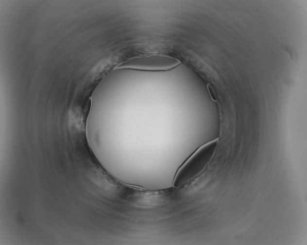 X0000113150384200909181755