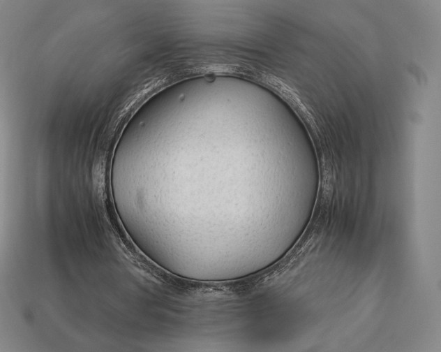 X0000113150386200909181755