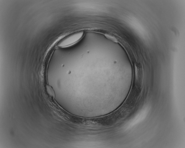 X0000113150387200909181755