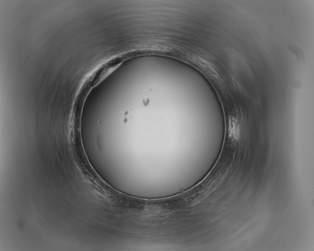 X0000113150388200909181754