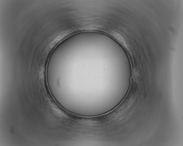 X0000113150389200909181754