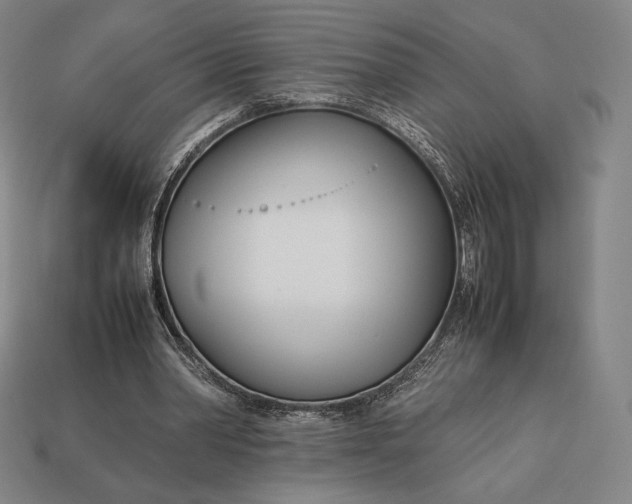 X0000113150390200909181754