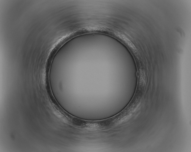 X0000113150391200909181754