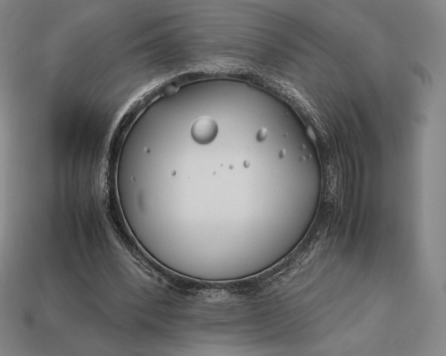 X0000113150392200909181754