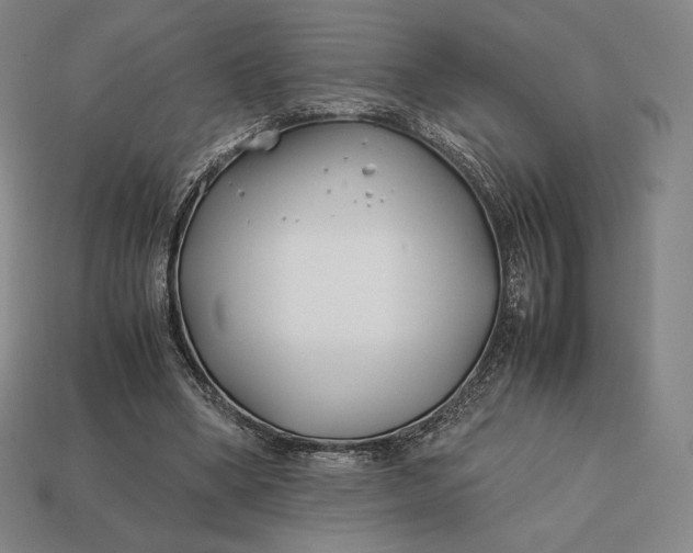 X0000113150394200909181754