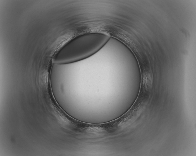 X0000113150397200909181754