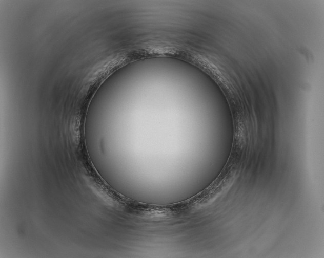 X0000113150402200909181754