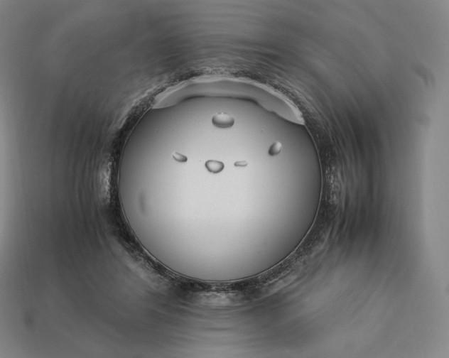 X0000113150404200909181754