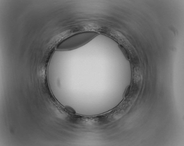 X0000113150405200909181754