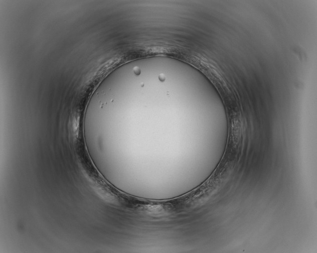 X0000113150406200909181754